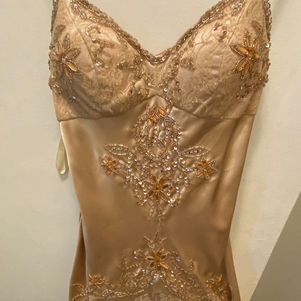 Champagne silk dress w/with lace and bead detail